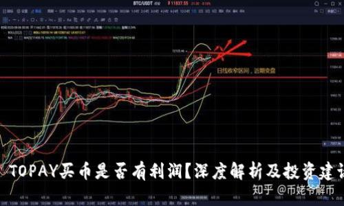 : TOPAY买币是否有利润?深度解析及投资建议