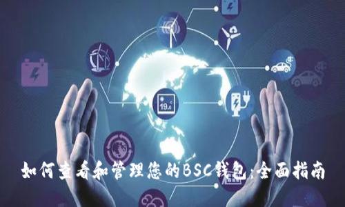 如何查看和管理您的BSC钱包:全面指南