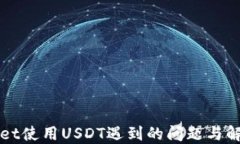 TPWallet使用USDT遇到的问题与解决方案