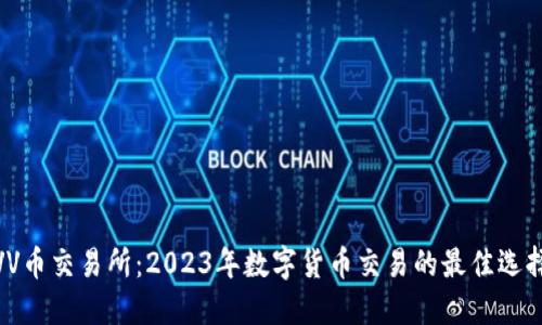 VV币交易所:2023年数字货币交易的最佳选择