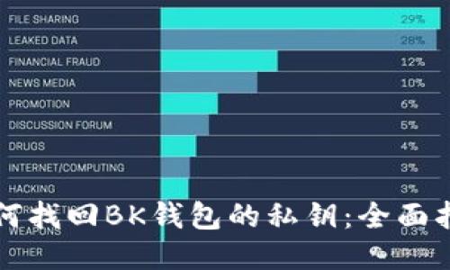 如何找回BK钱包的私钥：全面指南