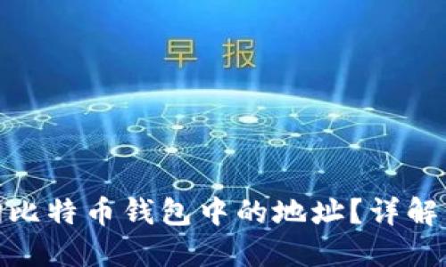 : 如何查询比特币钱包中的地址？详解方法与技巧