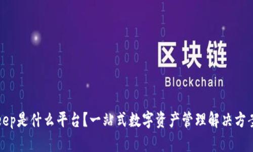 Bitkeep是什么平台？一站式数字资产管理解决方案解析