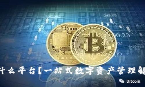 Bitkeep是什么平台？一站式数字资产管理解决方案解析