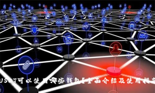 USDT可以使用哪些钱包?全面介绍及使用指南