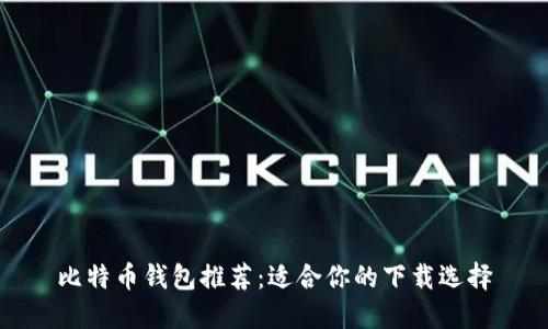 比特币钱包推荐:适合你的下载选择