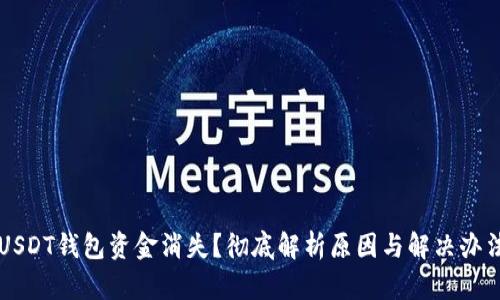 USDT钱包资金消失?彻底解析原因与解决办法
