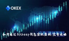 如何通过Bitkeep钱包实现盈利:完整攻略