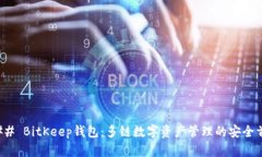 ### BitKeep钱包:多链数字资产管理的安全首选