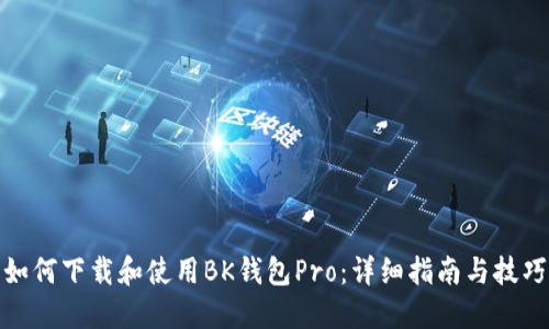 如何下载和使用BK钱包Pro:详细指南与技巧
