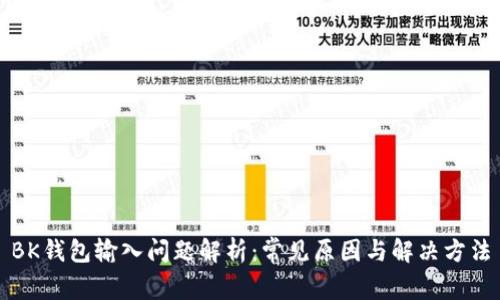 BK钱包输入问题解析：常见原因与解决方法