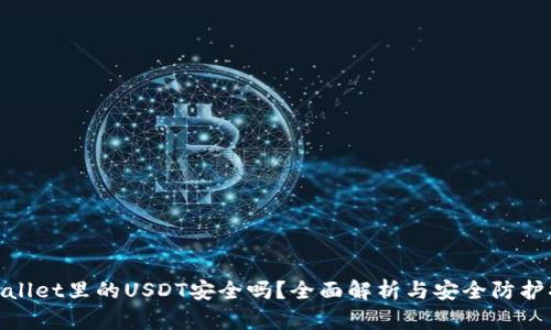 tpWallet里的USDT安全吗?全面解析与安全防护措施