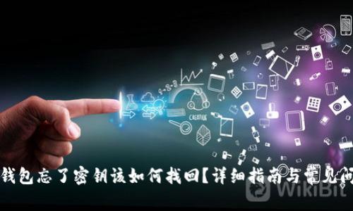 比特派钱包忘了密钥该如何找回?详细指南与常见问题解答