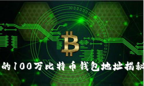 中本聪的100万比特币钱包地址揭秘与分析