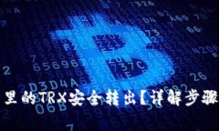 如何将钱包里的TRX安全转出?详解步骤与注意事