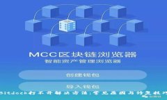 Bitdock打不开解决方法:常见原因与修复技巧