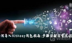 如何导入BitKeep钱包指南:步骤详解与常见问题