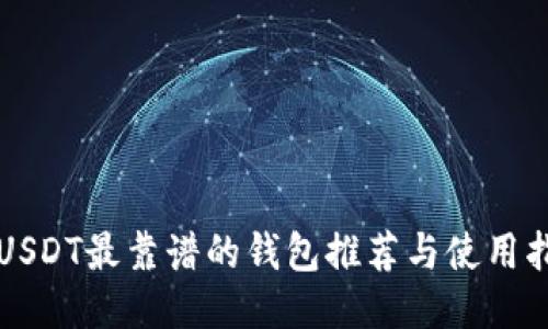 玩USDT最靠谱的钱包推荐与使用指南