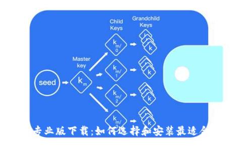 币coin专业版下载:如何选择和安装最适合你的版本