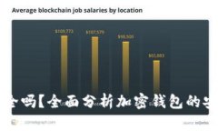 美国加密钱包安全吗?全面分析加密钱包的安全