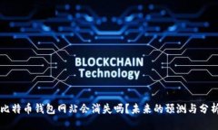 比特币钱包网站会消失吗?未来的预测与分析