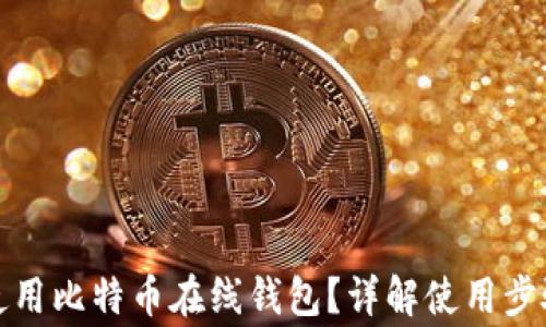 如何安全地使用比特币在线钱包?详解使用步骤与注意事项