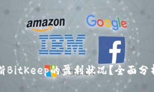 如何判断BitKeep的盈利状况?全面分析与评估