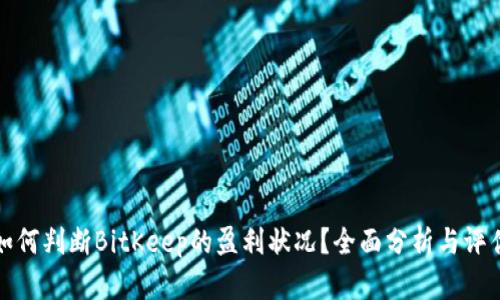 如何判断BitKeep的盈利状况?全面分析与评估