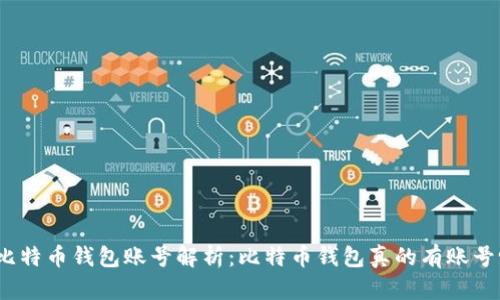 : 比特币钱包账号解析:比特币钱包真的有账号吗?