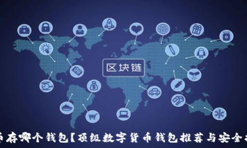 屎币存哪个钱包?顶级数字货币钱包推荐与安全指南