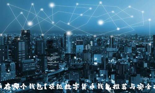 屎币存哪个钱包?顶级数字货币钱包推荐与安全指南