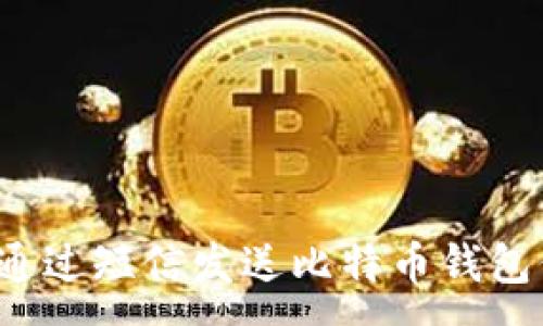 :
如何通过短信发送比特币钱包信息?