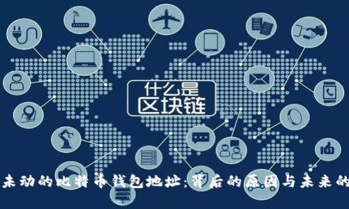 十年未动的比特币钱包地址:背后的原因与未来的启示