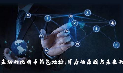 十年未动的比特币钱包地址:背后的原因与未来的启示
