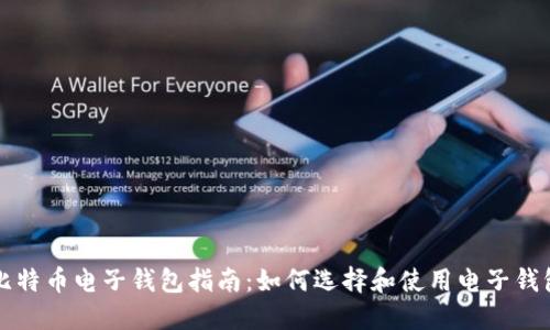 比特币电子钱包指南:如何选择和使用电子钱包