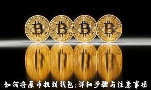 如何将屎币提到钱包:详细步骤与注意事项