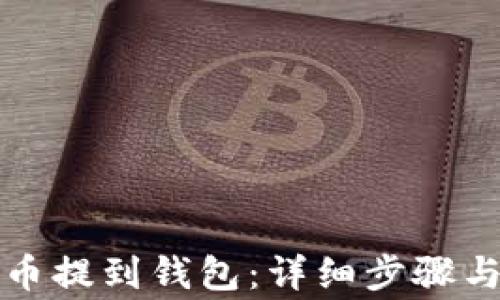 如何将屎币提到钱包:详细步骤与注意事项