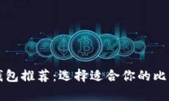 比特币存放钱包推荐:选择适合你的比特币存储