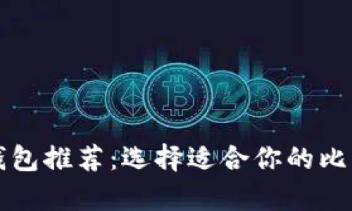 比特币存放钱包推荐:选择适合你的比特币存储方式