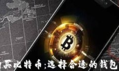 如何安全购买比特币:选择合适的钱包和购买方