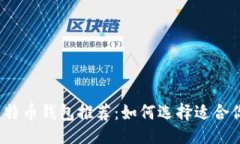 ```xml2023年最佳比特币钱包推荐：如何选择适合你