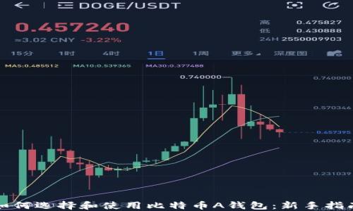 如何选择和使用比特币A钱包:新手指南