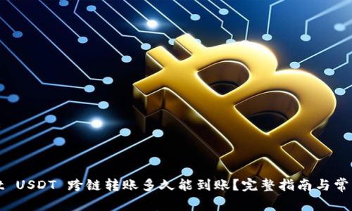 : tpWallet USDT 跨链转账多久能到账?完整指南与常见问题解答