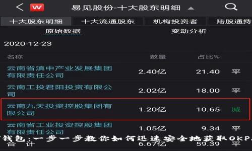 下载OKPAY钱包:一步一步教你如何迅速安全地获取OKPAY官方应用