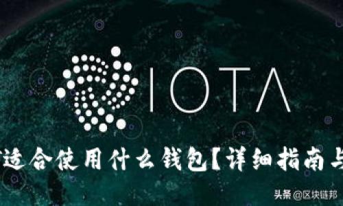 USDT适合使用什么钱包?详细指南与推荐