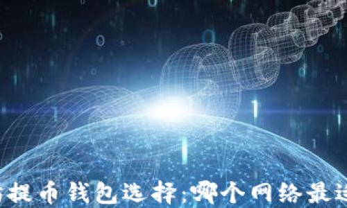以太坊提币钱包选择:哪个网络最适合你?