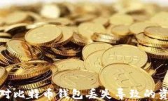 如何应对比特币钱包丢失导致的资产损失
