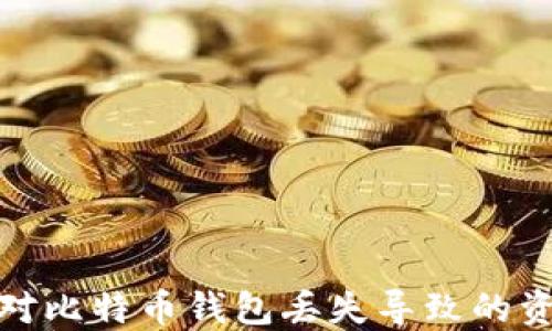如何应对比特币钱包丢失导致的资产损失