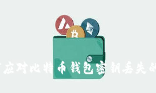 : 如何应对比特币钱包密钥丢失的风险?