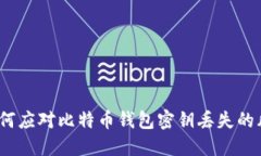 : 如何应对比特币钱包密钥丢失的风险?